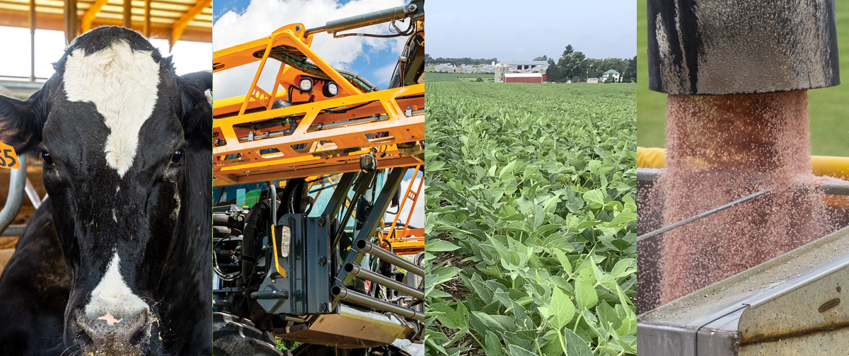 Northside Elevator Serves Wisconsin Farms Nutrition Agronomy Feed